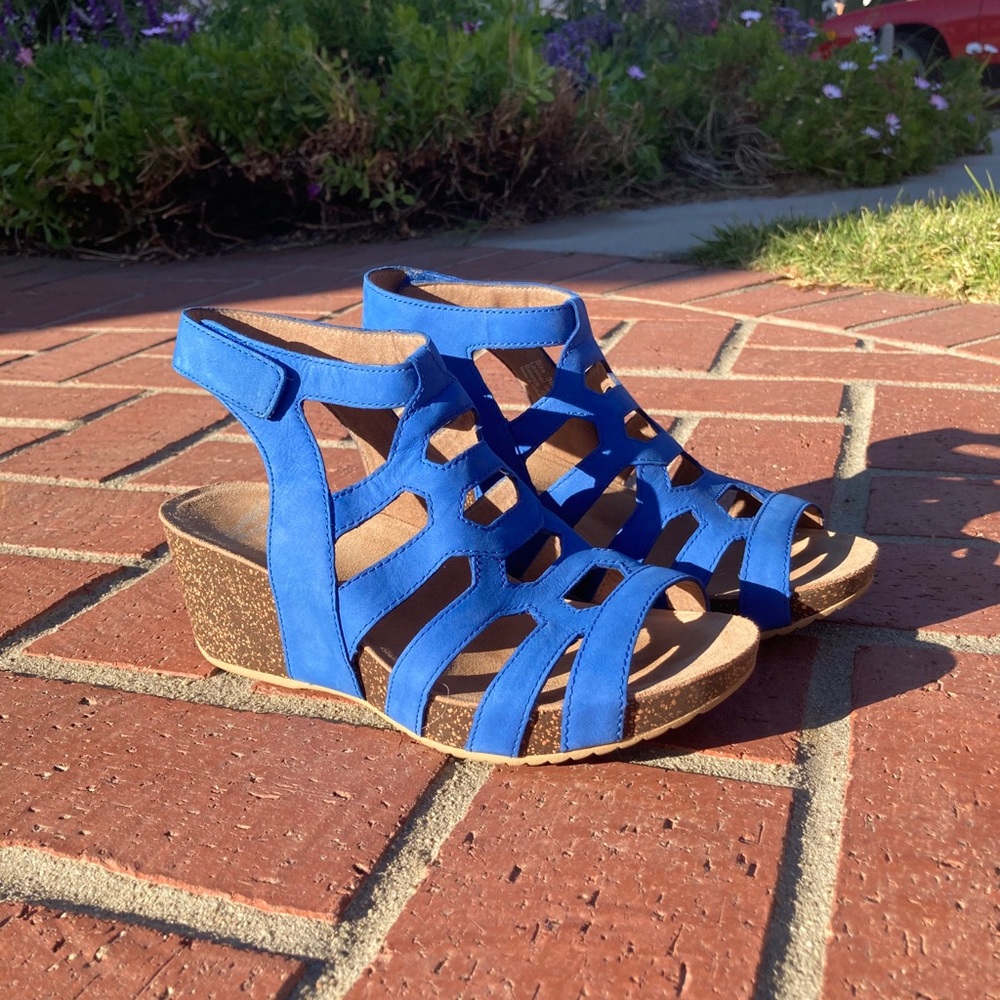 Dansko Wedge heels